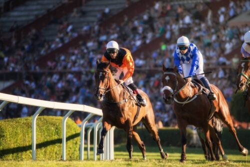The Cheltenham Bucket List: Things To Do in Gloucestershire